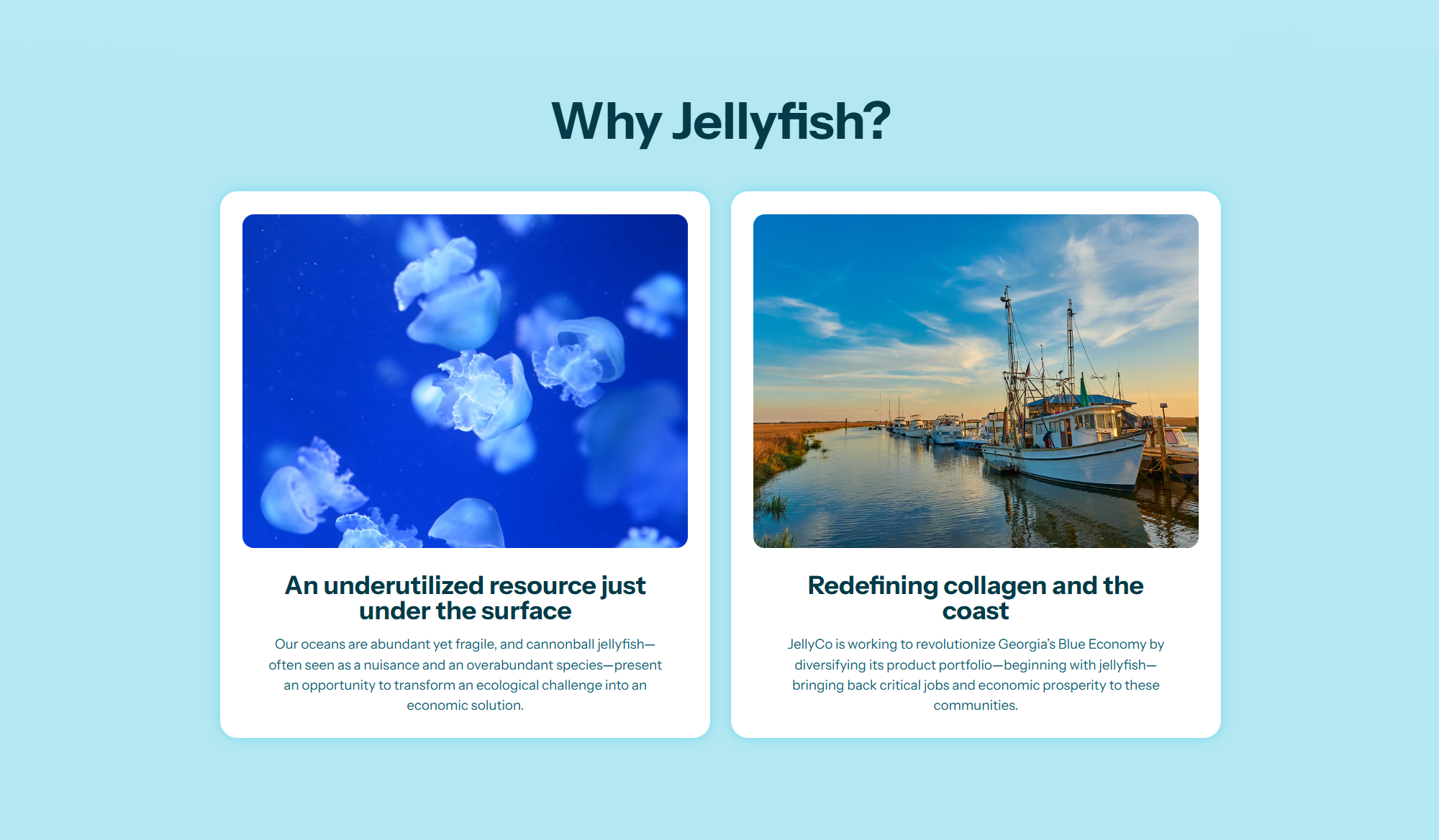 Why Jellyfish