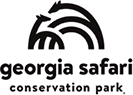 Georgia Safari